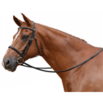 Albion KB Competition Cavesson Bridle