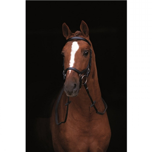 Rambo Micklem Deluxe Comp Bridle English Leather
