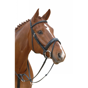 Albion KB Competition Flash Bridle