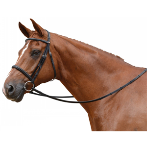 Albion KB Competition Cavesson Bridle