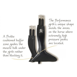 Fairfax Dressage Girth