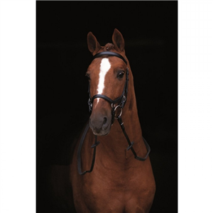 Rambo Micklem Competition Bridle