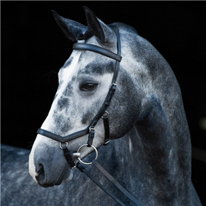 Rambo Micklem Competition Bridle