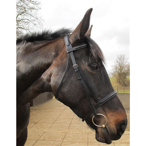 Jeffries Wembley Pro Show Bridle