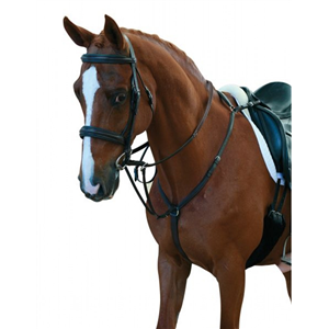 Collegiate Hunter Breastplate